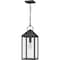 Quoizel Thorpe Outdoor Hanging Lantern TPE1908MB - alternate 4